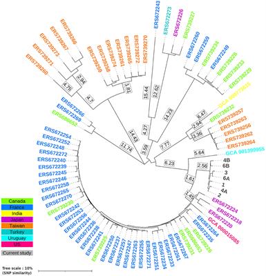 Campylobacter fetus foodborne illness outbreak in the elderly
